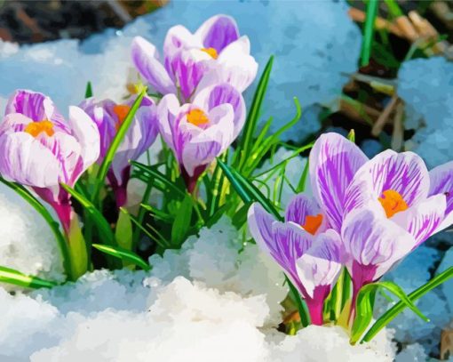 Spring Flowers In Snow Paint By Numbers
