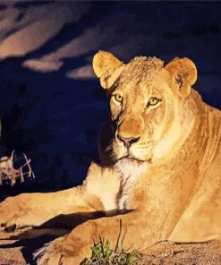 Starry Night With Female Lion paint by numbers
