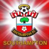 The Southampton FC Logo paint by numbers