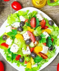 Vegetable Greek Salade Paint By Numbers