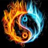 Yin Yang Fire paint by numbers