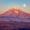 Aesthetic Mount Hood Landscape Nature paint by numbers