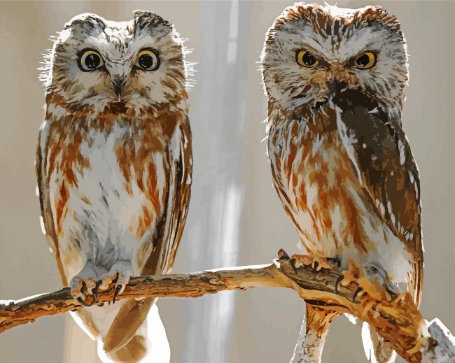 Aesthetic Owl Couple Birds paint by numbers