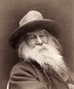 Black And White Poet Walt Whitman Paint By Numbers