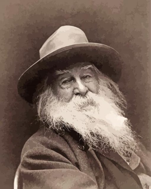 Black And White Poet Walt Whitman Paint By Numbers