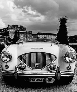 Black And White Vintage Aston Martin Paint By Numbers