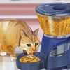 Cat Feeding Art Paint By Numbers
