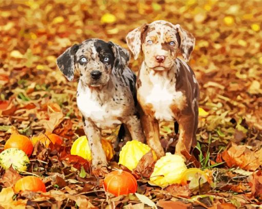 Catahoula Puppies paint by numbers