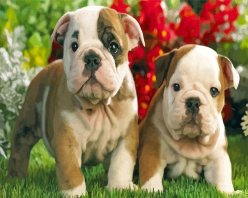 English Bulldog Puppies paint by numbers