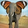 Grey Elephant Butterfly Paint By Numbers