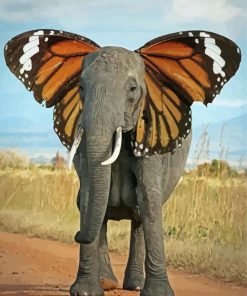 Grey Elephant Butterfly Paint By Numbers