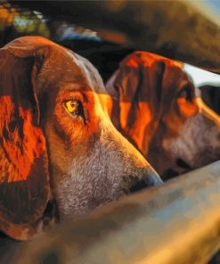 Hounds Hunt Dog paint by numbers