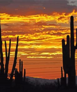 Old West Sunset Paint By Numbers