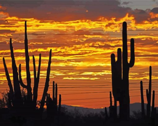 Old West Sunset Paint By Numbers