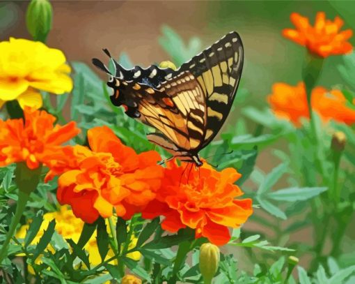 Old World Swallowtail Orange Flower paint by numbers