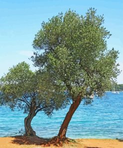 Olive Trees Lake Paint By Numbers