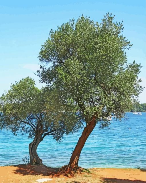 Olive Trees Lake Paint By Numbers