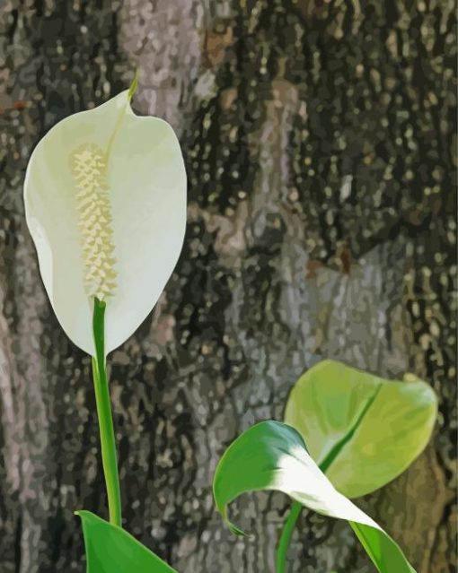 White Flamingo Flower Paint By Numbers