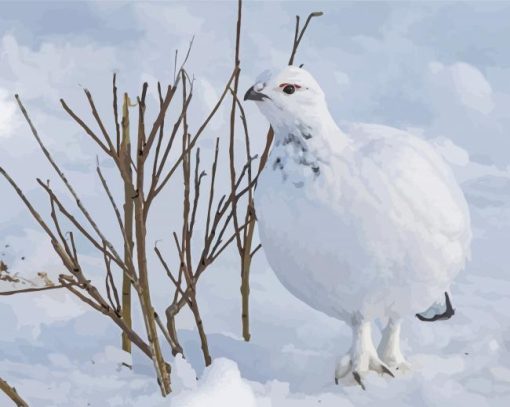 Willow Ptarmigan In Snow Paint By Numbers