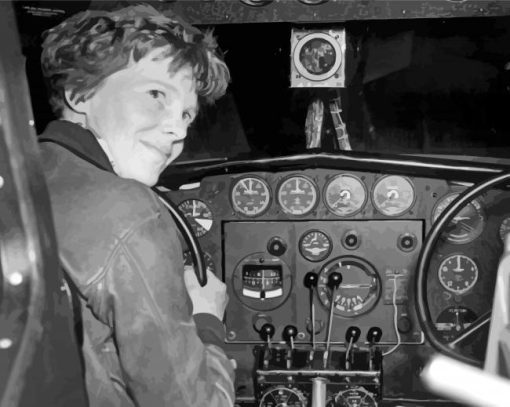 Amelia Earhart In The Plane Paint By Numbers
