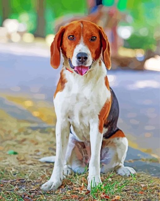 American Foxhound Animal Paint By Numbers