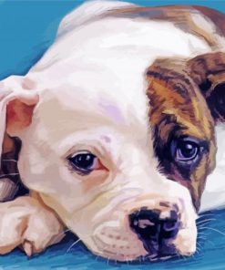 American Bulldog Art Paint By Numbers