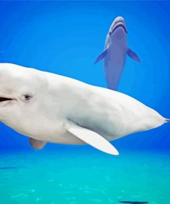 Beluga Whales Underwater Paint By Numbers
