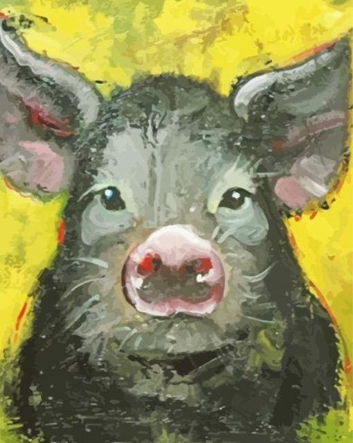 Black Pig Animal Paint By Numbers
