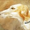Borzoi Dog Head Paint By Numbers