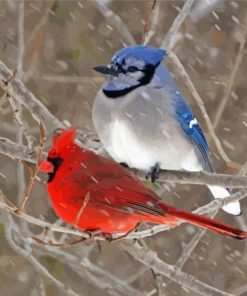 Cardinal And Blue Jay In Snow Paint By Numbers