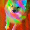 Cute Rainbow Dog Paint By Numbers