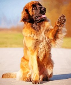 Dog Animal Leonberger Paint By Numbers