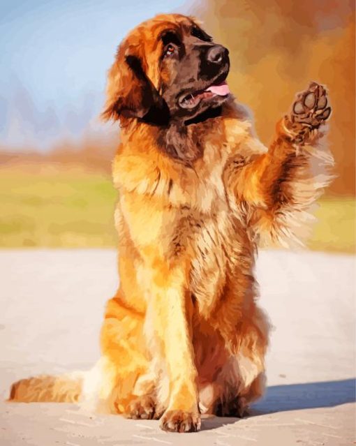 Dog Animal Leonberger Paint By Numbers