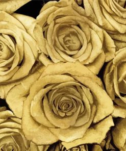 Gold Roses Paint By Numbers