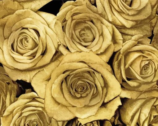 Gold Roses Paint By Numbers