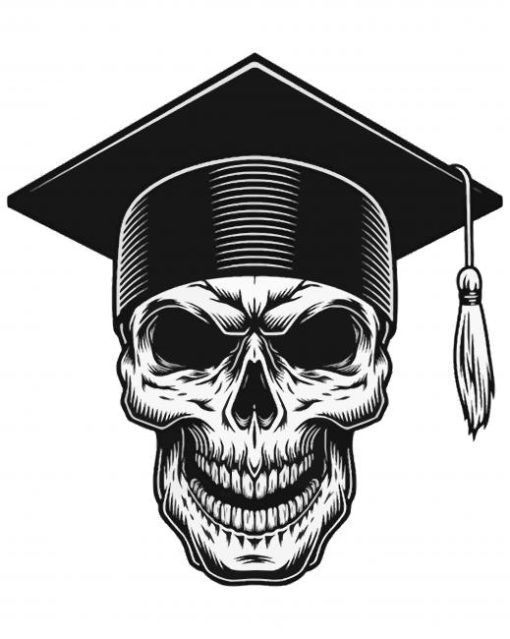 Graduated Skull Paint By Numbers