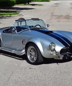 Grey Ford Shelby Cobra Art Paint By Numbers