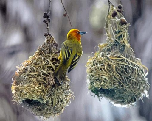 Hanging Bird Nests Paint By Numbers