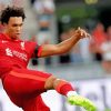 LFC Player Trent Alexander Arnold Paint By Numbers