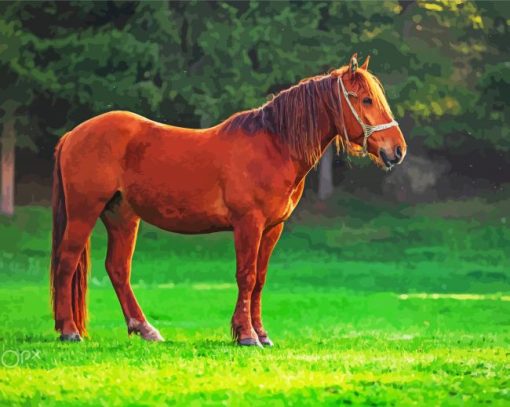 Light Brown Horse Paint By Numbers