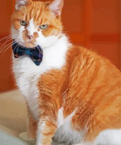 Mad Ginger Cat With Bow Paint By Numbers