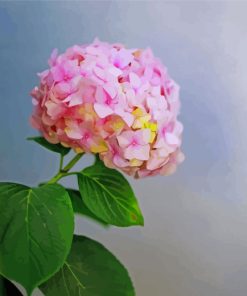 Pink Hydrangeas Flower Bouquet Paint By Numbers
