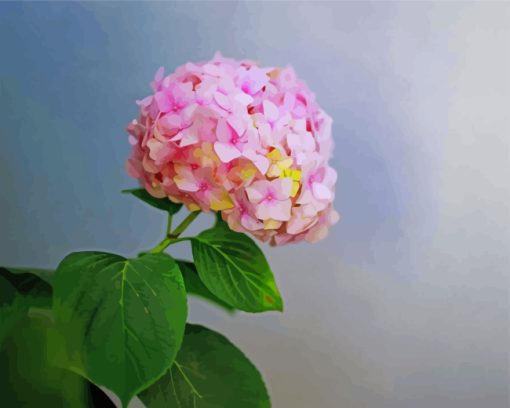 Pink Hydrangeas Flower Bouquet Paint By Numbers