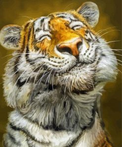 Smiling Tiger Paint By Numbers