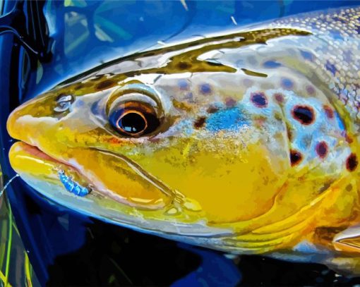 Close Up Brown Trout Fish Paint By Numbers