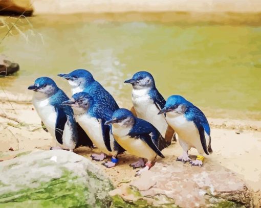 Fairy Penguins Paint By Numbers