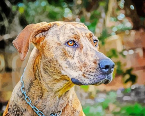 Plott Hound Head Paint By Numbers