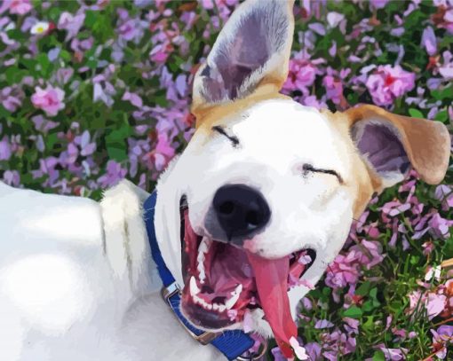 Smiling Dog With Flowers Paint By Numbers