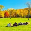 Aesthetic Cows Fall Scene Paint By Numbers