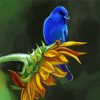Aesthetic Sunflower And Blue Bird Art Paint By Numbers